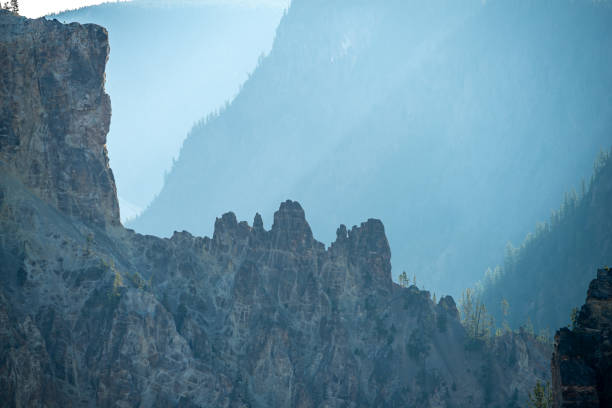 Yellowstone National Park, USA nature