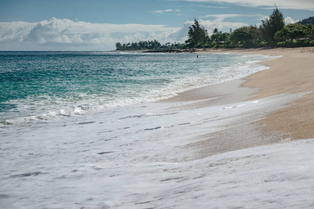 istock oahu island in hawaii northshore ocean scenes 1976205562