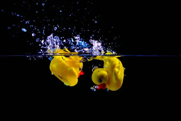 Photo of A toy duck falls into the water making a splash