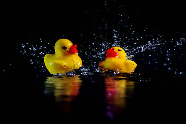 Photo of A toy duck falls into the water making a splash