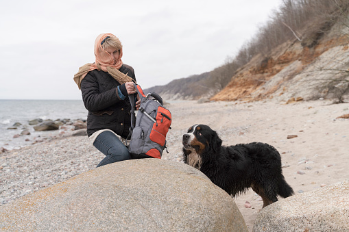 Woman with her Bernese Mountain dog playing on the beach of the Baltic sea in winter. Kaliningrad Region, Russia, Eastern Europe.