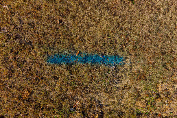 Geodetic paint marking sign of underground communications and network. Directly above