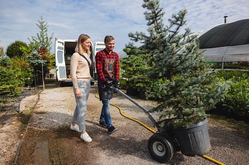 A nice Caucasian male garden center employee helping an attractive Caucasian female customer. They are walking around the outdoor garden center and transporting the tree the client wants to purchase. Weekend activities.