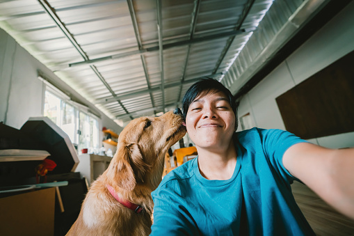 A real Asian man takes a selfie with a 7-month-old golden retriever. The dog is licking its owner's face. People and fun playing together Looking happily at the camera at home