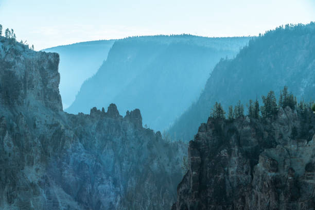 Yellowstone National Park, USA nature