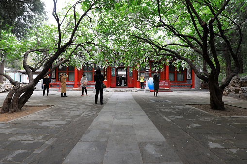 Beijing, China - April 11, 2021: Chinese classical garden scenery and tourists
