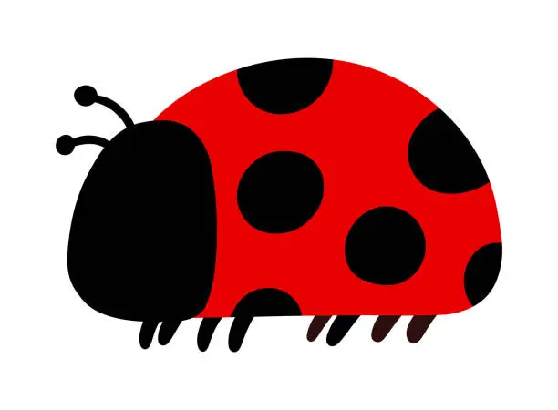 Vector illustration of Cute Ladybug Insect Animal Hnaddrawn Cartoon Doodle Vector Illustration