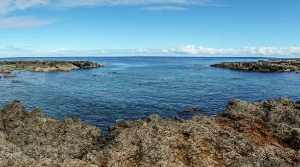 istock oahu island in hawaii northshore ocean scenes 1976305306