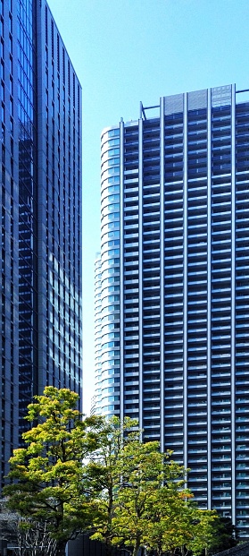 Green trees surrounding by big highrise buildings under a bright blue sky.