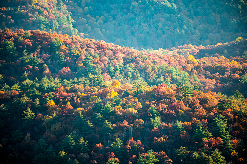 autumn season in the south carolina mountains near lake jocassee