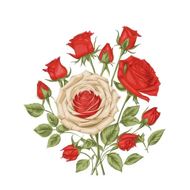 Vector illustration of Vektor Illustration set of red roses