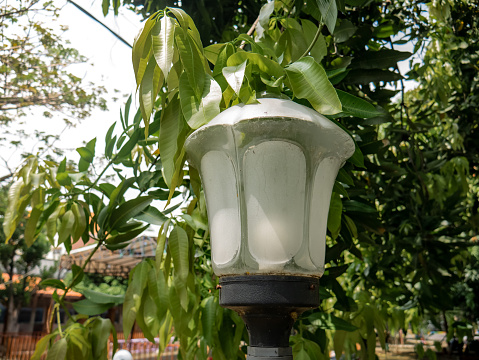 white lamps with a vintage style installed in the city park area