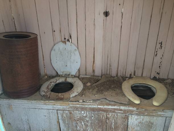 istock Abandoned Outhouse with Two Old Toilet Seats 1976575710