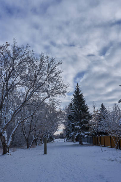 istock Winter Wonders: A Visual Symphony of Nature's Elegance in the Frosty Embrace 1976631093