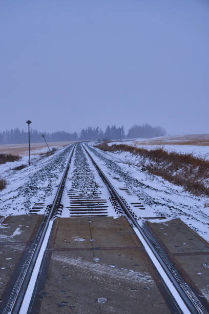 istock Winter Wonders: A Visual Symphony of Nature's Elegance in the Frosty Embrace 1976635211