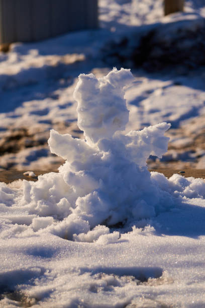 Embark on a visual journey through this photography session capturing the majesty of winter nature, where delicacy meets strength in icy landscapes.