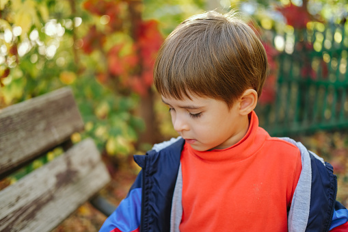 Funny toddler boy having fun outdoors on sunny autumn day. Child exploring nature. Kid playing in the yard. Autumn activities for small kids