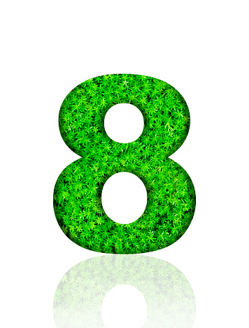 Close-up of three-dimensional green leaf number 8 on white background.