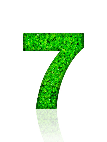 Close-up of three-dimensional green leaf number 7 on white background.