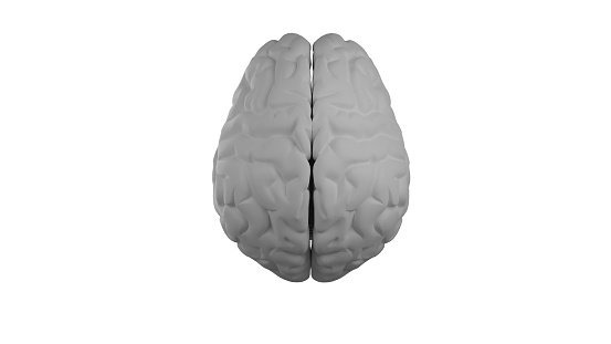medical illust brain 4angle 3d render