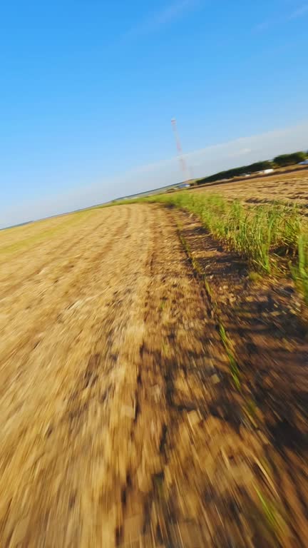 Drone fpv view of a expansive golden wheat field after harvest under a clear blue sky