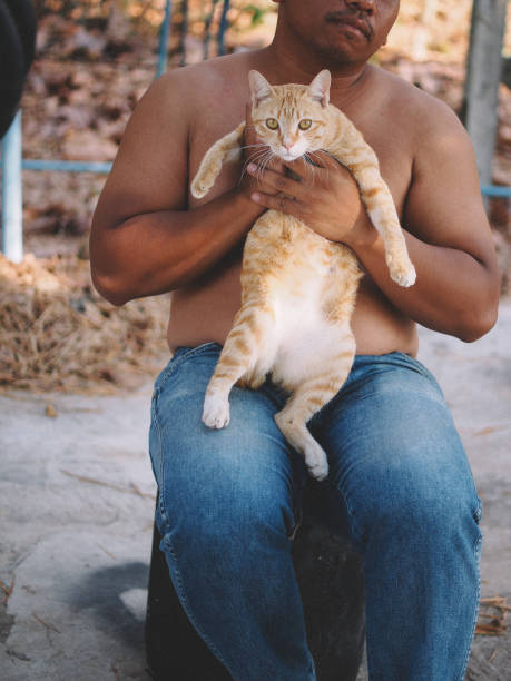 istock brown man playing with orange cat 1976800322