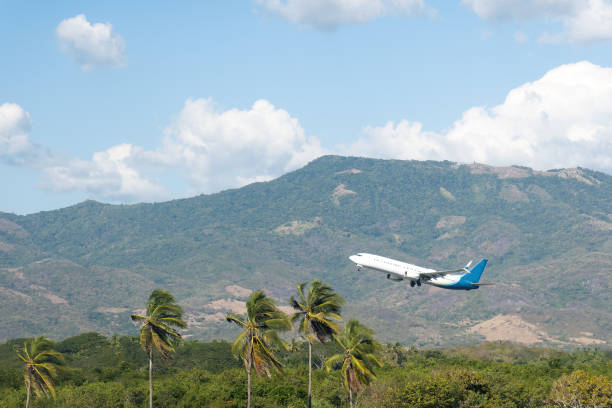 istock Airplane flying over tropical palm trees, clear blue sky, vacation time 1976824953