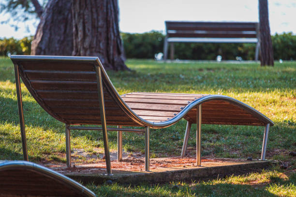 Empty sun loungers in park at sea High quality photo