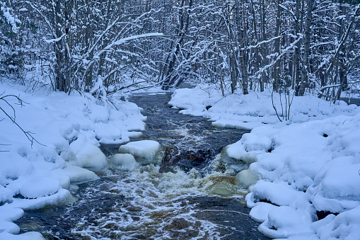 Serene stream flowing through snowy woods with snow-dusted branches