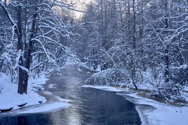 istock River in a winter landscape with snowy trees and branches 1976836742