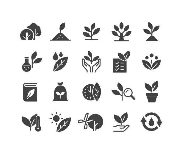 растения иконы - классическая серия - флора stock illustrations