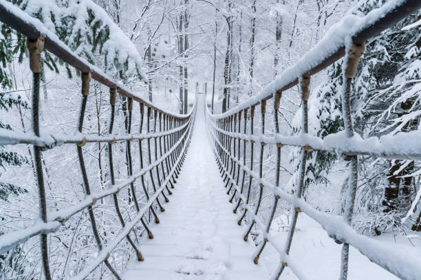 A hanging bridge in a snowy winter forest