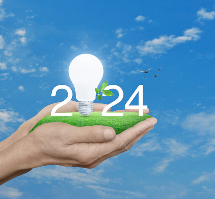 2024 white text and led light bulb with fresh leaves on green grass in hands over blue sky, white clouds and birds, Happy new year 2024 green ecology and saving energy concept