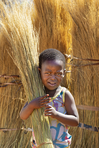 african child working in the field carrying a bundle of thatch grass, village life, sunny day of summer