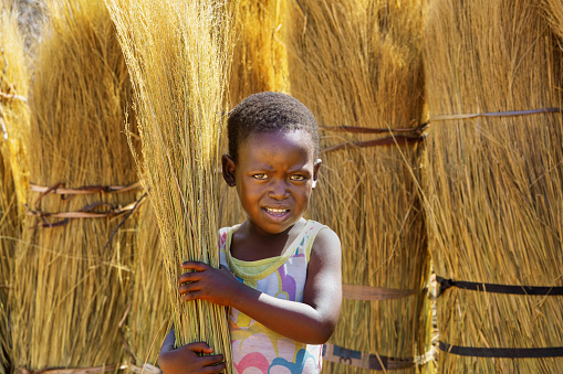 african child carrying a bundle of  thatch grass, village life, sunny day of summer