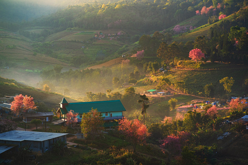 A community known as the Pink Village in Phu Hin Rong Kla National Park. Phitsanulok Province, Thailand