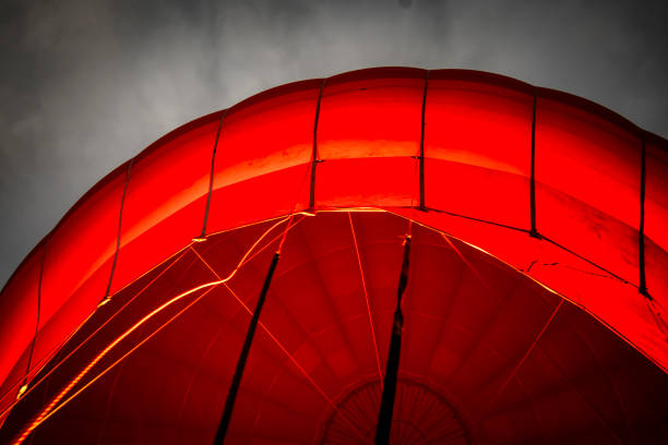 the view from a hot air balloon as it soars over the wineries of the Hunter Valley