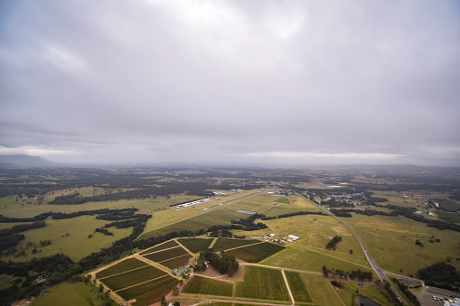the view from a hot air balloon as it soars over the wineries of the Hunter Valley