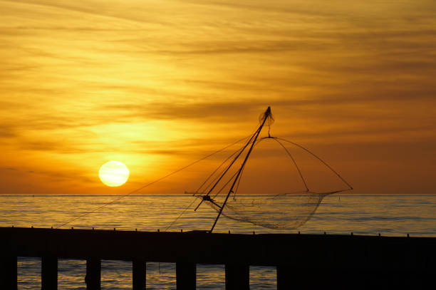 In far background, unrecognizable fishermen operating old Chinese fishing nets, aka Cheena vala in India, while the sun sets  on the Arabian Sea.