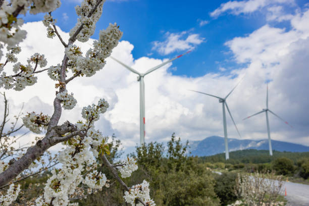 Pear flower on wind turbine bacground