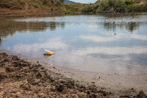 Environmental pollution. Plastic bottles near a small lake near the small lake. Dirty lake