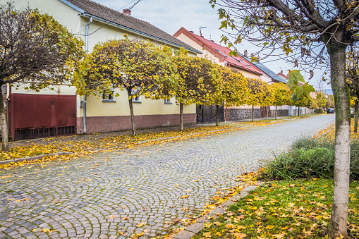 Pavement road in a small cozy town in autumn in a sunny day. Yellow leaves and trees in autumn. Picturesque European street in a small town with beautiful old houses and paving stones. Mukachevo.Ukrai