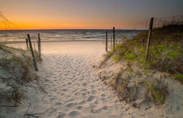 istock The landscape on the Baltic Sea. 1977010290