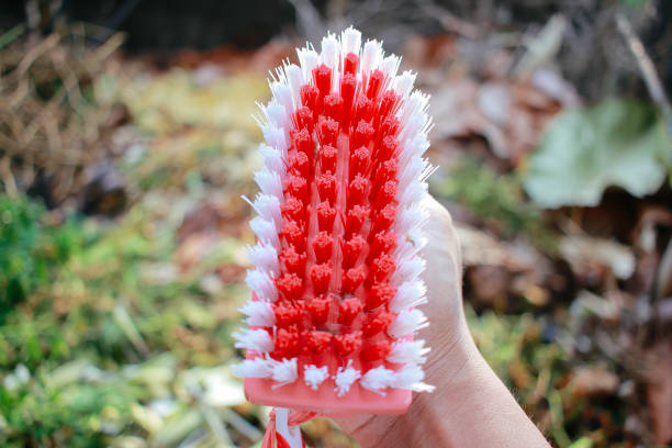 toilet cleaning brush