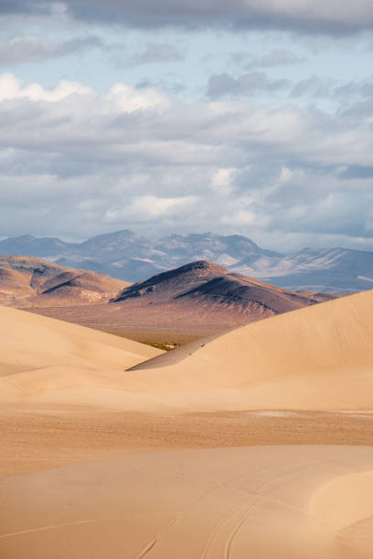 istock Views of the sand dunes 1977027578