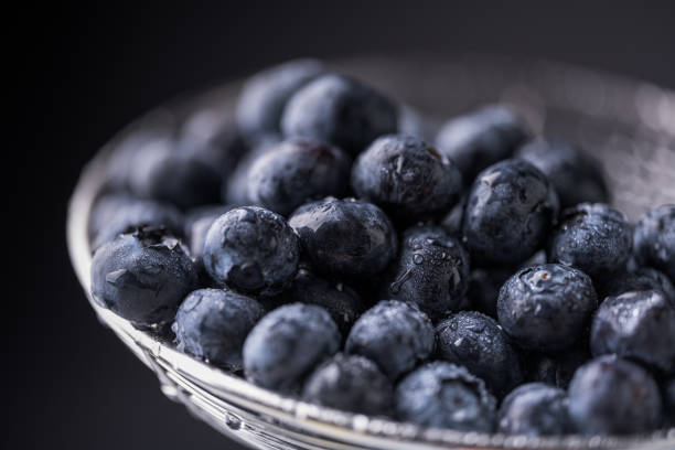 fresh blackberries - buio imagens e fotografias de stock