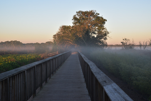 A wooden walkway in the Brazos Bend State Park at sunset.