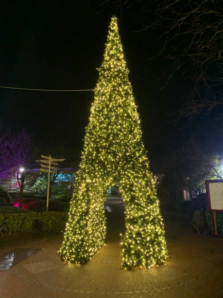 istock Illuminated christmas tree outdoors, taken at night with arch in tree 1977098647