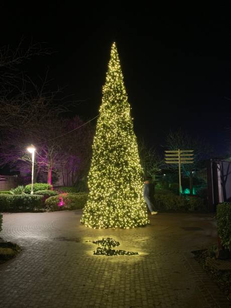 istock Illuminated Christmas tree outdoors, taken at night 1977098675