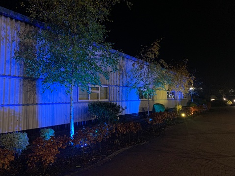 Landscaped path and area at night with Blue decorative illuminating spot lights